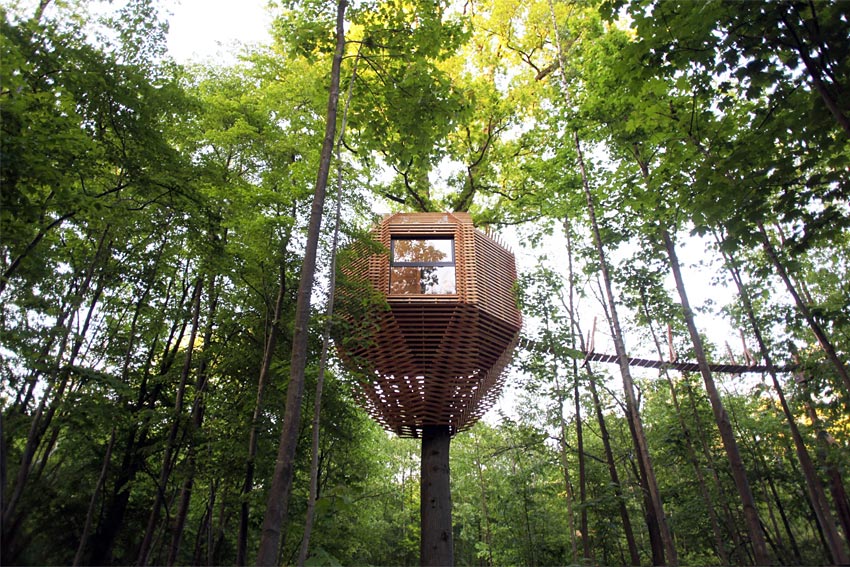 ECO JOURNEY - cabanes dans les arbres